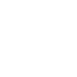 Seguridad